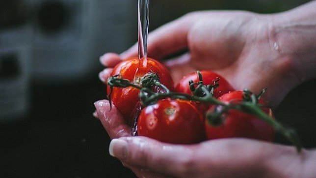 Always Fresh. Always Made to Order.